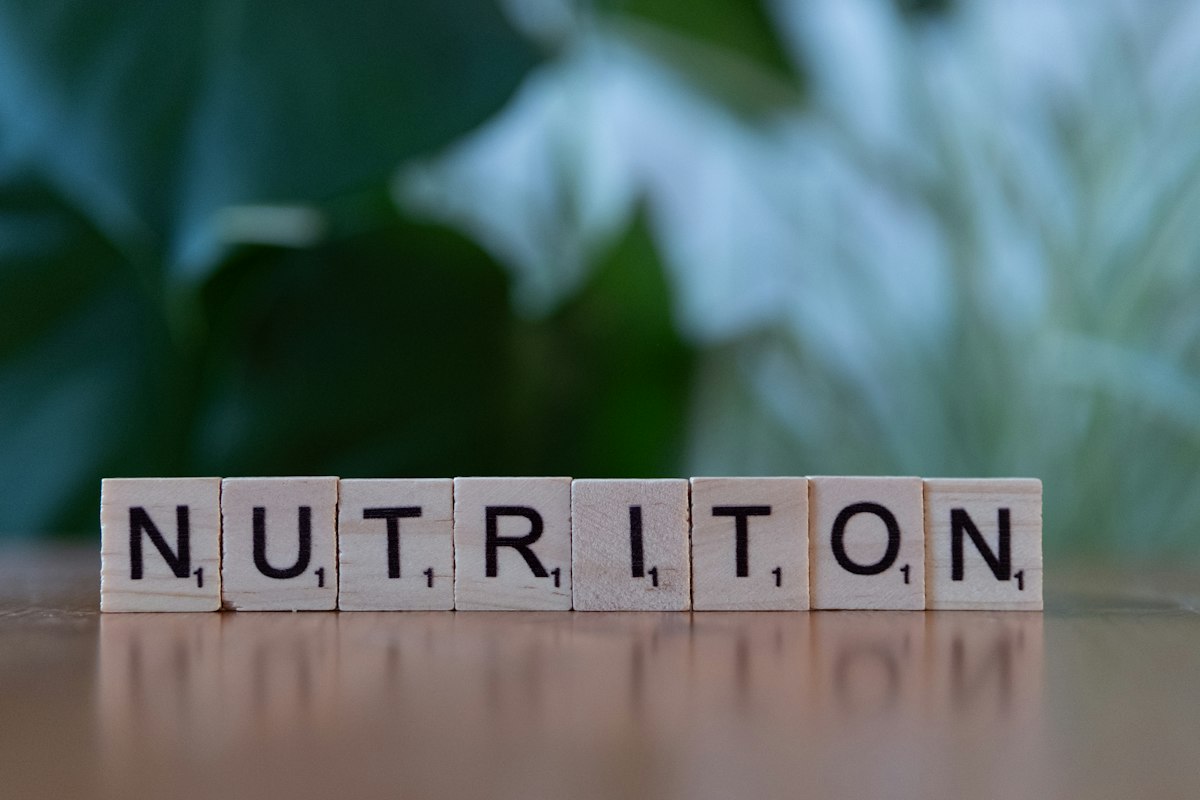 Dra. Sofía Menéndez, Especialista en Nutrición Clínica